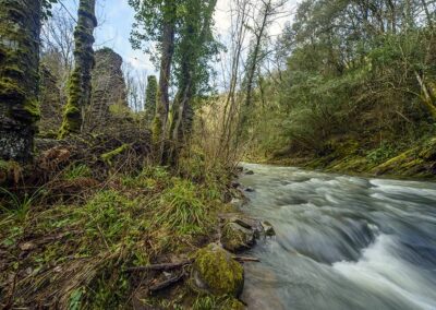 La fandería junto al río Barbadun