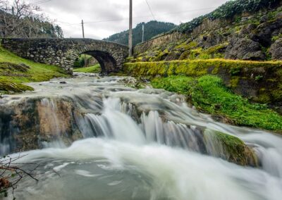 El río baja con fuerza bajo el puente